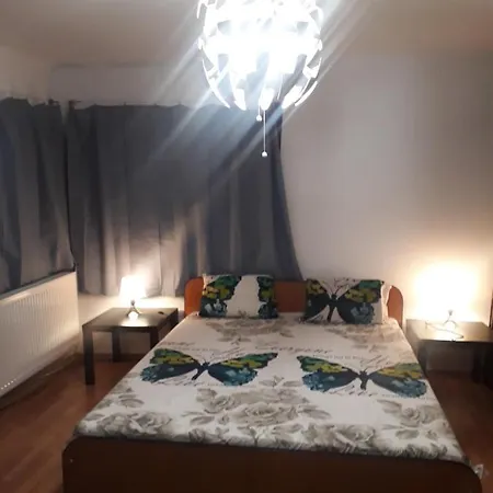 Tobyta Nu Primesc Santieristi Si Petrecareti