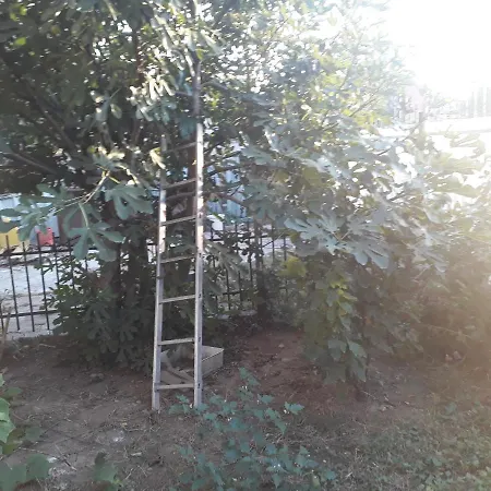 Σπίτι διακοπών Tobyta Nu Primesc Santieristi Si Petrecareti Βουκουρέστι