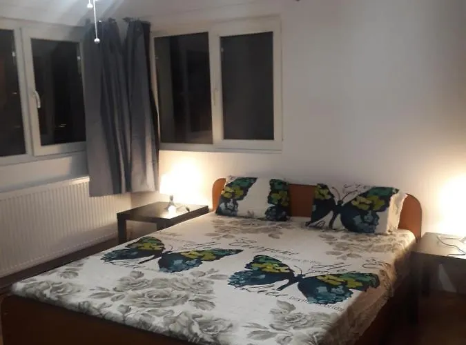 Dom wakacyjny Tobyta Nu Primesc Santieristi Si Petrecareti Bukareszt
