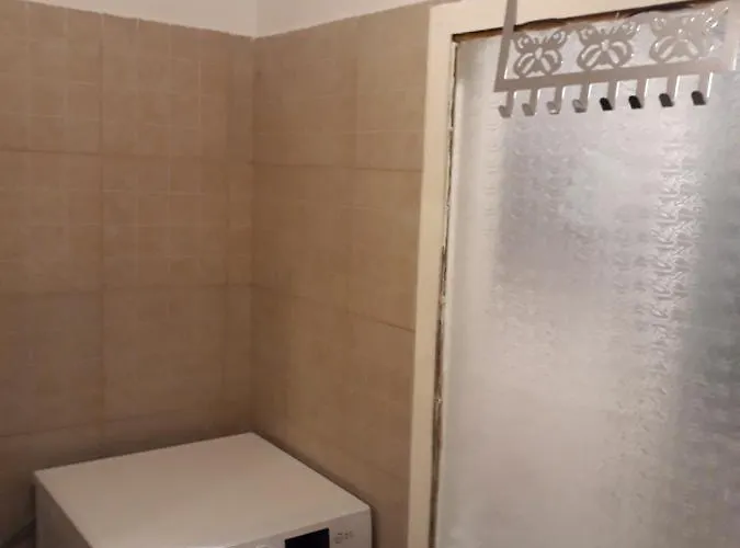 Nyaraló Tobyta Nu Primesc Santieristi Si Petrecareti Bukarest