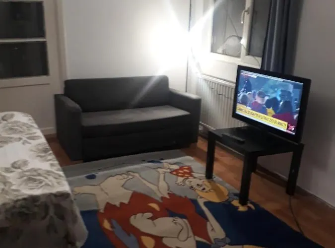 Dom wakacyjny Tobyta Nu Primesc Santieristi Si Petrecareti Bukareszt