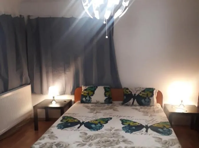 Tobyta Nu Primesc Santieristi Si Petrecareti