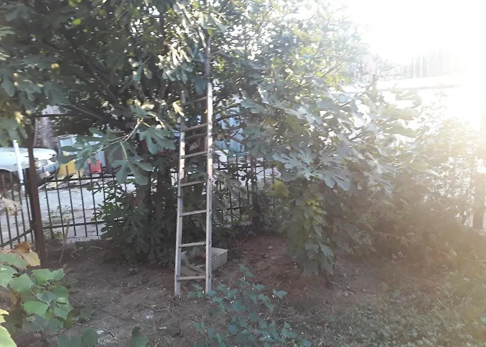 بيت للعطل Tobyta Nu Primesc Santieristi Si Petrecareti بوخارست