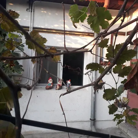 Tobyta Nu Primesc Santieristi Si Petrecareti *